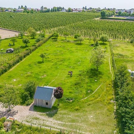 Unique Hideaway, Holiday House With Large Garden Kortenaken エクステリア 写真