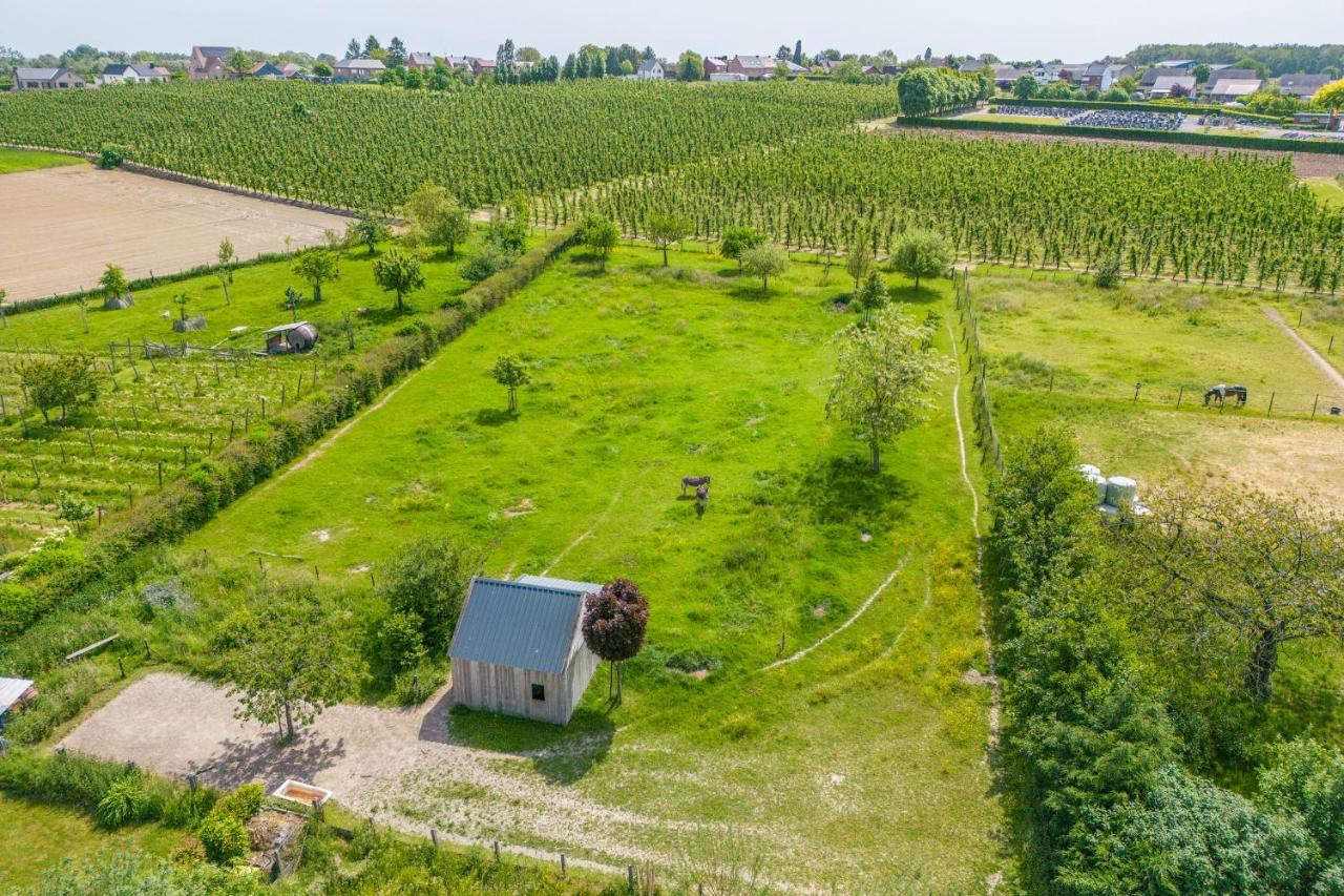 Unique Hideaway, Holiday House With Large Garden Kortenaken エクステリア 写真
